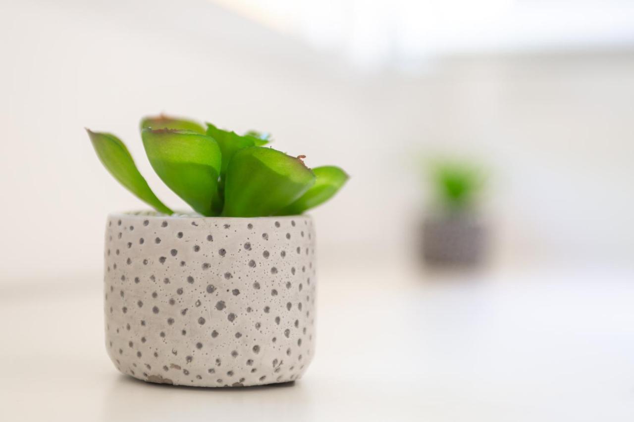 Apartament Chill & Sun - Terrasse Exterieure - Parking - Wifi - 4P Amiens Zewnętrze zdjęcie